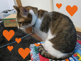 IMG00338.jpg