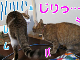 IMG00340.jpg