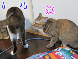 IMG00341.jpg