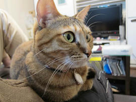 IMG00345.jpg