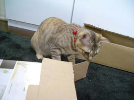 IMGP8699.jpg
