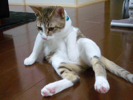 IMGP8714.jpg