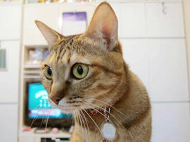 IMG00356.jpg