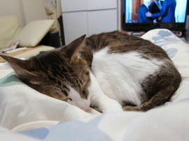 IMG00357.jpg