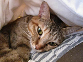 IMG00359.jpg