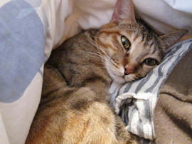 IMG00360.jpg