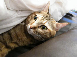 IMG00364.jpg