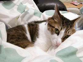 IMG00365.jpg