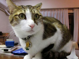 IMG00370.jpg