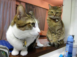IMG00372.jpg