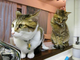 IMG00373.jpg