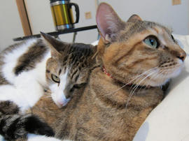 IMG00377.jpg