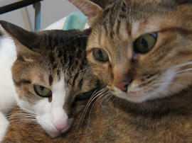 IMG00379.jpg