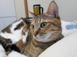 IMG00380.jpg