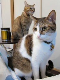 IMG00381.jpg