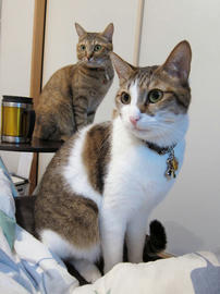 IMG00384.jpg