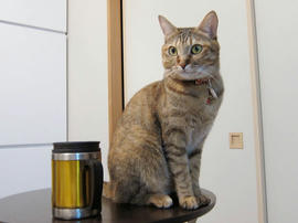 IMG00385.jpg
