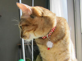IMG00391.jpg