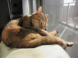 IMG00394.jpg