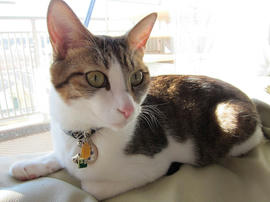 IMG00397.jpg