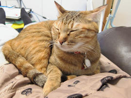 IMG00398.jpg