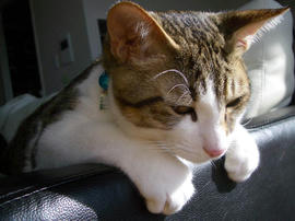 IMGP8848.jpg