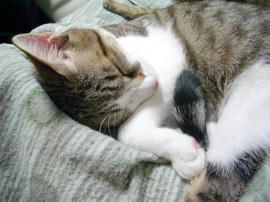 IMGP8855.jpg
