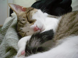 IMGP8857.jpg