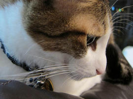 IMG00399.jpg