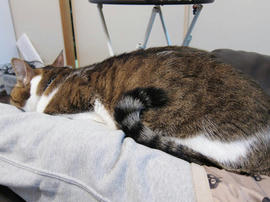 IMG00403.jpg
