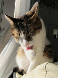 IMG00408.jpg