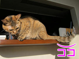 IMG00409.jpg