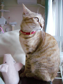 IMGP8901.jpg