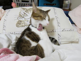 IMG00412.jpg