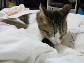 IMG00414.jpg