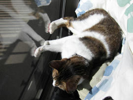 IMG00419.jpg