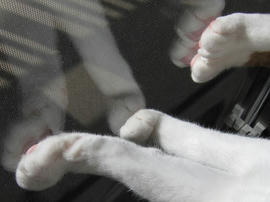 IMG00420.jpg