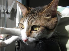 IMG00421.jpg