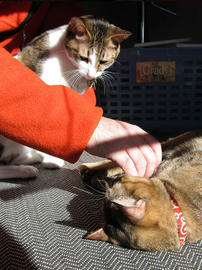 IMG00424.jpg