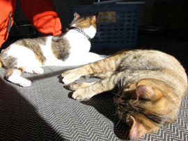 IMG00425.jpg