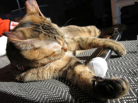 IMG00426.jpg