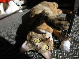 IMG00428.jpg