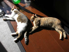 IMG00429.jpg