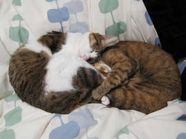 IMG00430.jpg