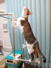 IMG00433.jpg