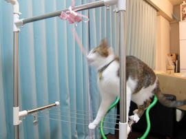 IMG00435.jpg