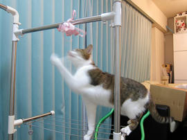 IMG00436.jpg