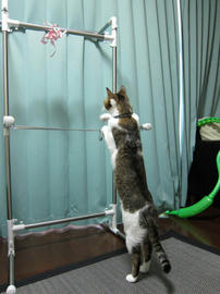 IMG00439.jpg