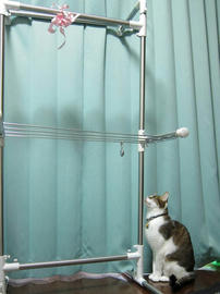 IMG00440.jpg