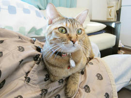 IMG00442.jpg